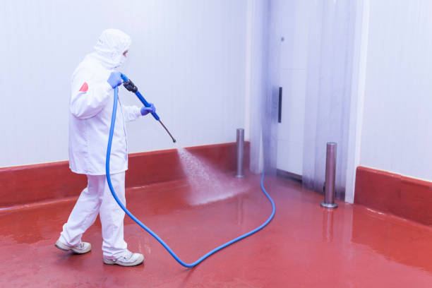 Best Brick and Stone Cleaning in Gholson, TX